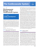 11. cardiology.pdf